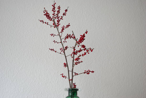 istock Ilex verticillata branches full of red berries 1085868034
