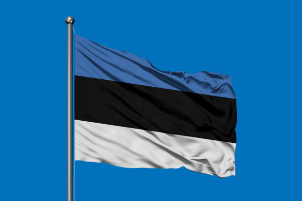 bandeira da estónia balançando ao vento contra o céu azul profundo. bandeira de estónia. - estonia flag pennant baltic countries - fotografias e filmes do acervo