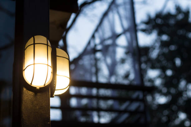 Street lamp lit up at dusk, a moody portrait of spring of a city member that sleeps during the day