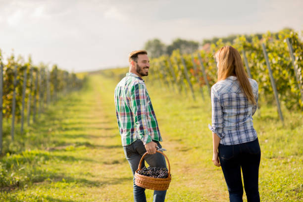 istock Young couple in the vineyard 1085879148