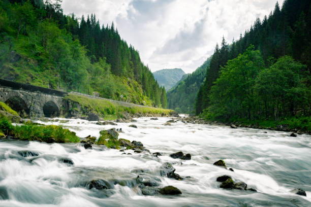Scandinavia, Norway, Valley, Overcast - Rapids surging down a valley in Norway