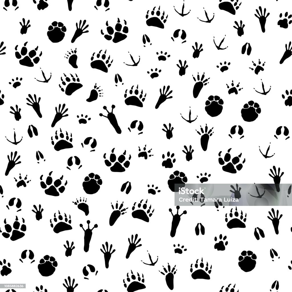 Seamless background traces of animals and birds Seamless pattern with traces of various animals and birds. Black traces of animals on a white background. Vector illustration Doodle stock vector