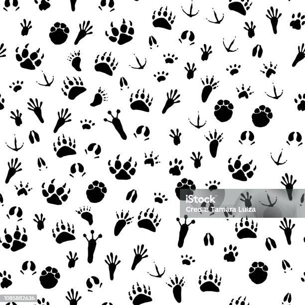Seamless Background Traces Of Animals And Birds Stock Illustration - Download Image Now - Doodle, Paw, Wolf
