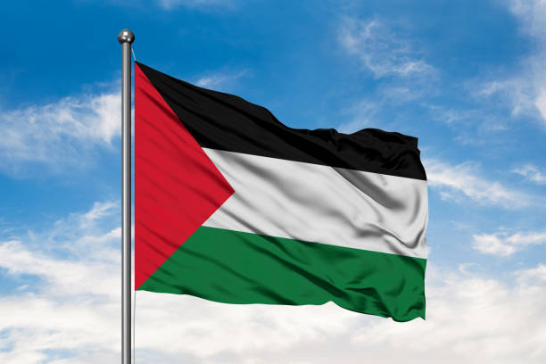 bandera de palestina ondeando en el viento contra un cielo azul nublado blanco. - himno nacional turco fotografías e imágenes de stock