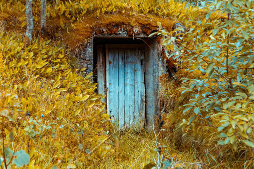 Hidden home, Norway, Hobbit, Field - Image of an abandoned shack in a forest with overgrowth everywhere.