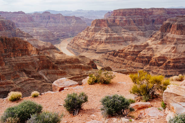 grand canyon west rim - arizona, usa - mountain majestic park cliff stock-fotos und bilder