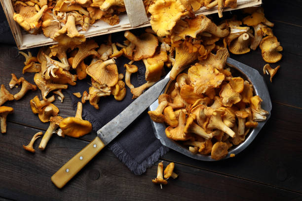 wald-pfifferlinge auf einem holztisch - chanterelle stock-fotos und bilder