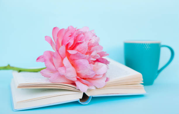 istock Peony flower and book on blue background 1085900208