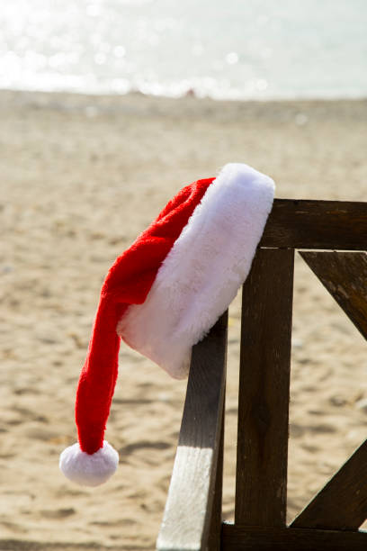 istock Christmas Vacation to the Beach 1085908684