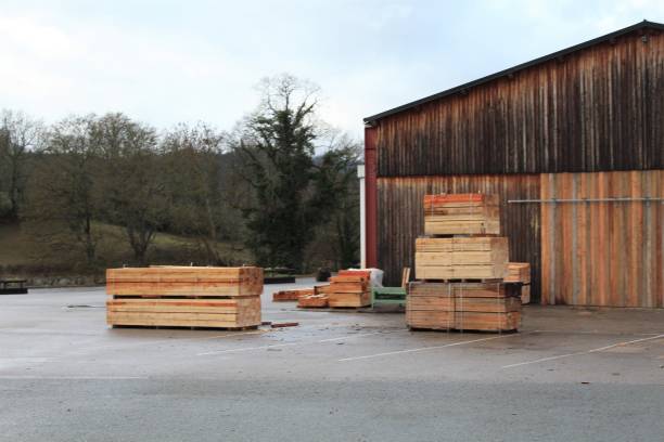 istock INDUSTRIAL SAWMILL - WOOD INDUSTRY 1085910308