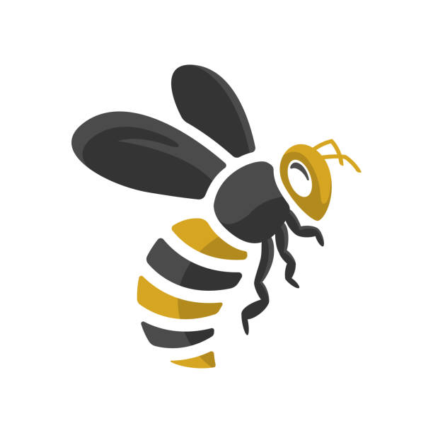 konstrukcja pszczoły z prostym wektorem w stylu płaskim - queen bee stock illustrations