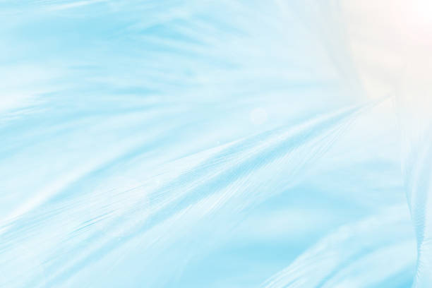 istock Beautiful green turquoise vintage color trends feather pattern texture background 1085915700
