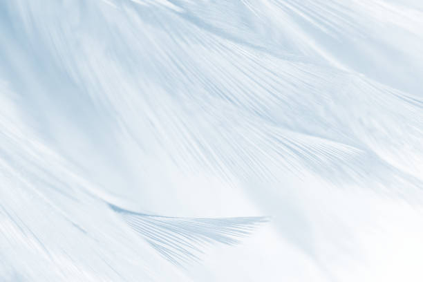 istock Beautiful green turquoise vintage color trends feather pattern texture background 1085915746