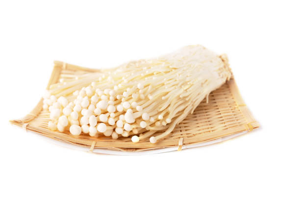 istock Japanese mushrooms on white 1085917488