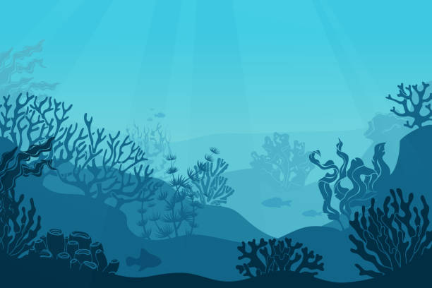 ilustraciones, imágenes clip art, dibujos animados e iconos de stock de paisaje marino subacuático. fondo marino, marino con algas. oscuro de agua salada con las siluetas de los corales. ocean reef fondo vector background_itog - lecho del mar