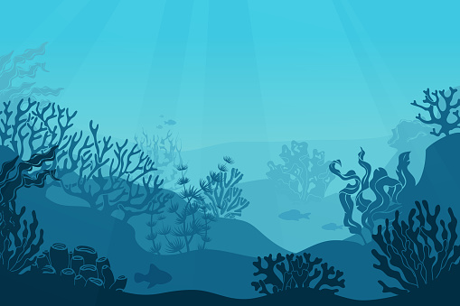 Underwater seascape. Seafloor, undersea with seaweed. Dark saltwater with corals silhouettes. Ocean reef bottom vector background