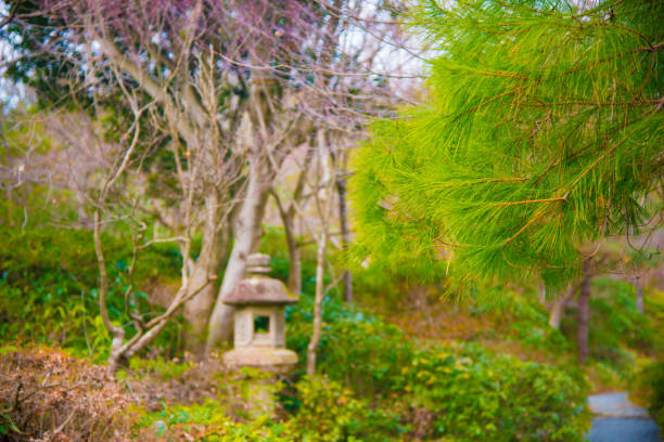 Japanese garden in Osaka, Japan. Osaka is one of the important cities in Japan for cultures and business markets.
