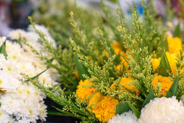 istock Group of chrysanthemum 1085930380