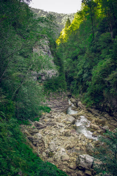 istock Guam gorge into wild nature 1085930776