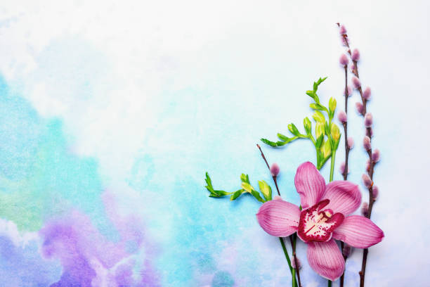 Floral decorative setting or spring greeting card template