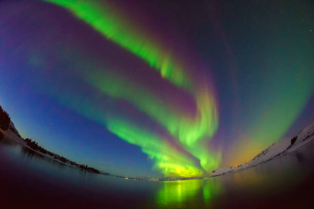 istock Mixed colorful aurora borealis dancing in the sky 1085936032