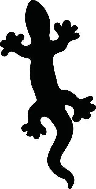 Vector illustration of Gecko Silhouet