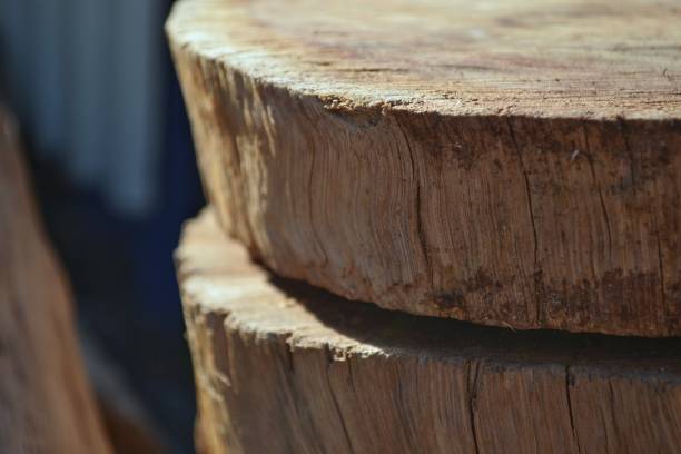 istock Shot of sawn timber 1085960836