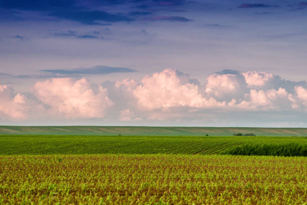 istock Agricultural field in plains 1085961068