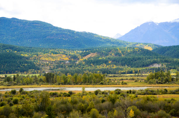 Columbia Valley in autumn, British Columbia, Canada