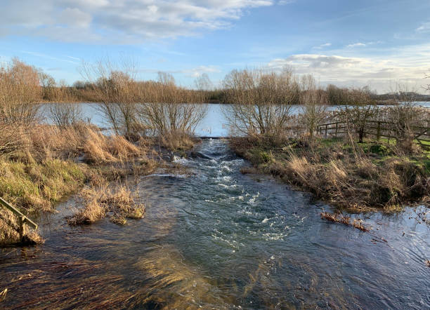 istock View of a flooded lake as the water flows into a small river 1085966308