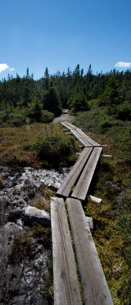 istock New Hampshire White Mountains - Presidential Traverse 1085967932