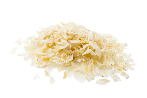 istock dried lily bulbs, traditional chinese herbal medicine, isolate on white   background. 1085968284