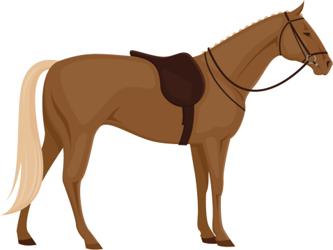 A horse with saddle isolated on white. No gradients were used when creating this illustration.