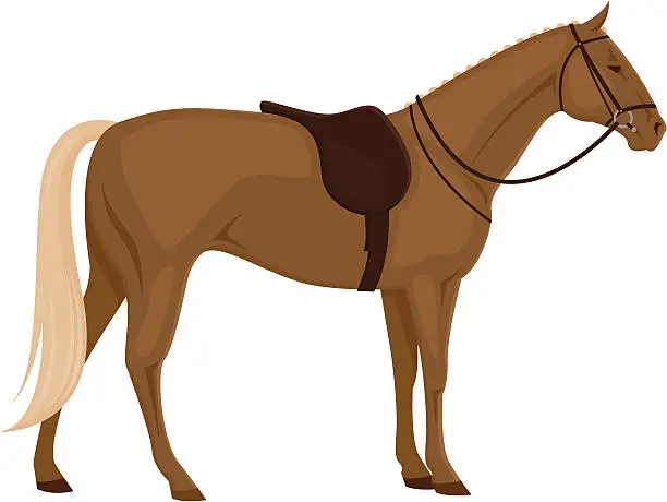 Vector illustration of Horse with Saddle