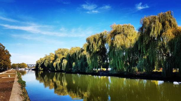 istock The Meuse in autumn 1085970584