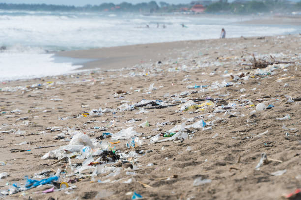 istock garbage and wastes on the beach in Bali, indonesia 1085983880