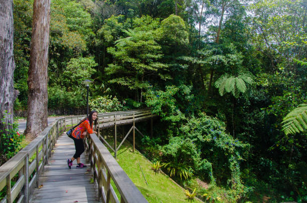 istock Tropical scenary in Malaysia, Southeast Asia 1085985132