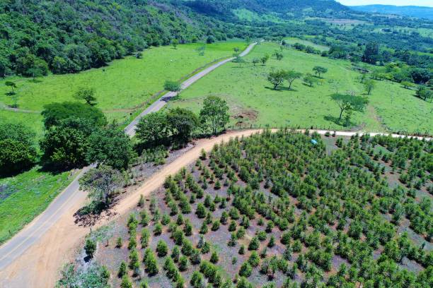 istock Aerial view of countryside scene 1085986052
