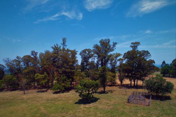 istock Aerial view of countryside scene 1085986094