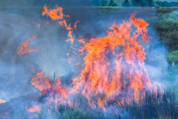 istock Fire Flames Blazing Farm Crops 1085988022