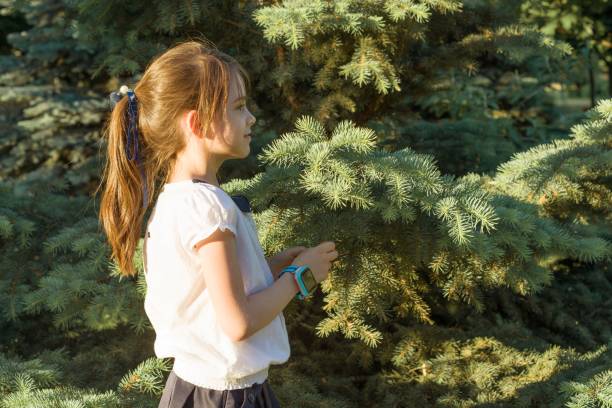 portret na świeżym powietrzu w profilu pięknej uśmiechniętej dziewczyny 7 lat. skopiuj miejsce, zielone drzewo tła - 6 7 years lifestyles nature horizontal zdjęcia i obrazy z banku zdjęć