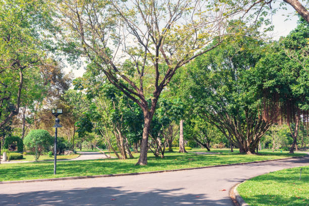 istock Public central park in City. Exercise and relax. 1085994454