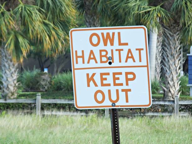 istock Owl Habitat - Keep Out sign 1085997020