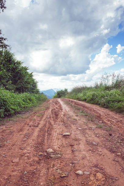 istock soil road in forest landscape 1085997262