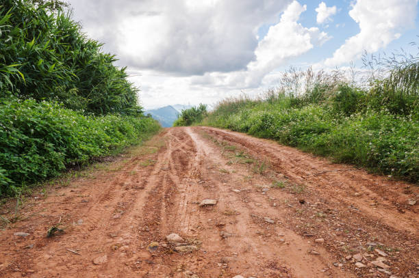 istock soil road in forest landscape 1085997336