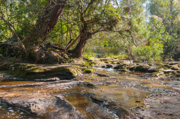 istock Waterfall in nature park landscape 1085997750