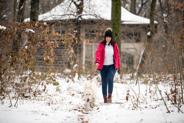 istock A girl with a dog 1085997954