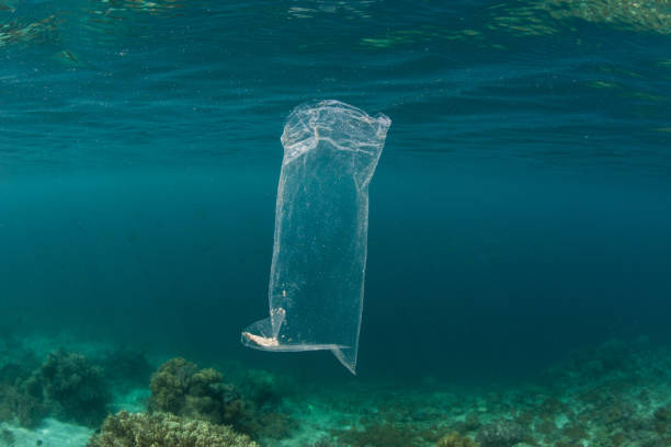 sacchetto di plastica alla deriva nell'oceano - biology disposable equipment nobody foto e immagini stock