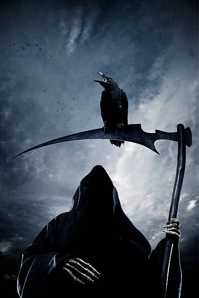 50+ Halloween Grim Reaper And Crow Stock Photos, Pictures