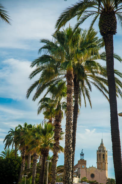 istock Spanish Beach Resort in Barcelona, Spain 1086002346